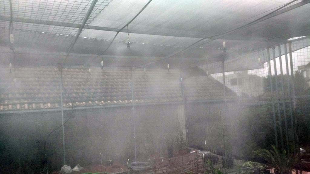 Hệ thống tưới phun sương được lắp đặt tại Vườn Lan Thực Hà - Đồng Nhân - Đông La- Hà Nội