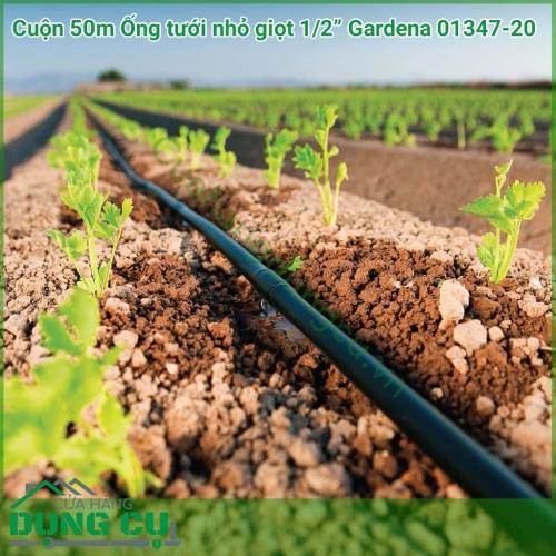 Cuộn 50m Ống tưới nhỏ giọt 1/2 inch (13mm) Gardena 01347-20