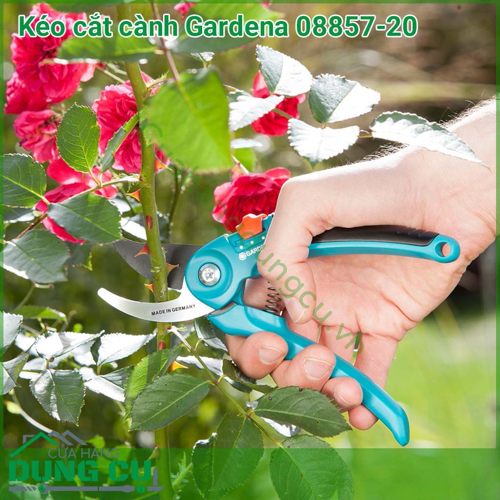 Kéo cắt cành cây cảnh Gardena có độ cắt cành có đường kính tới 22 mm.Tay cầm cắt có khóa oan toàn thông minh. chống trơn trượt khi sử dụng.