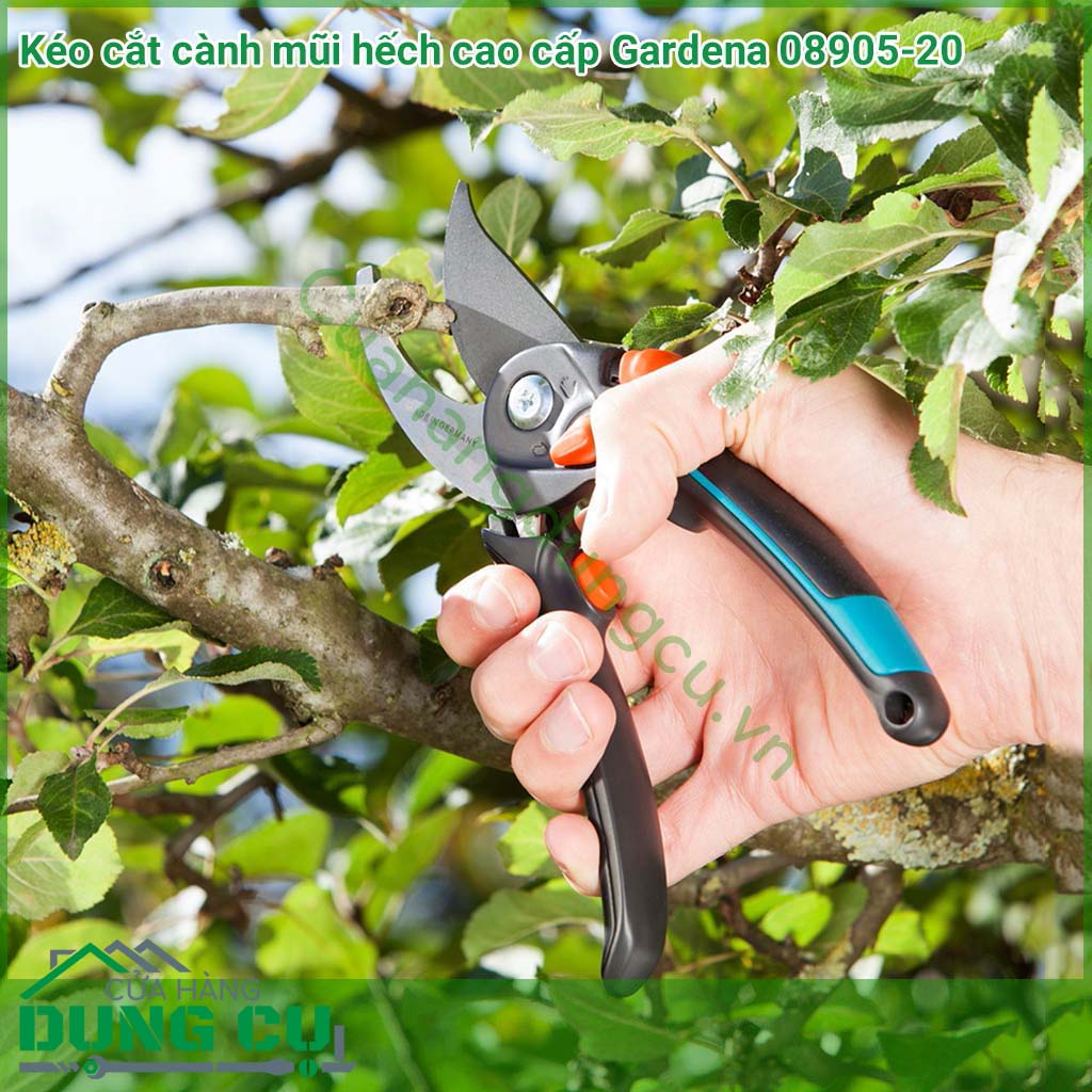 Kéo cắt cành cây mũi hếch thích hợp cho việc cắt tỉa gọn gàng những cành cây dày tới 24 mm.tạo lực cắt mạnh mẽ nhờ lưỡi dao sắc bén và lưỡi cắt dưới làm bằng thép không gỉ.