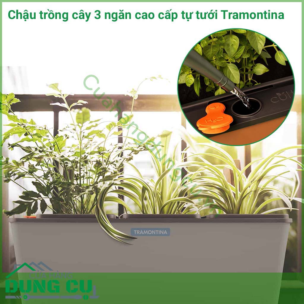 Chậu cây tự tưới 3 ngăn được sản xuất tại Brazil thuộc thương hiệu Tramontina. Sản phẩm được làm bằng chất liệu nhựa cao cấp, độ bền cao, nhỏ gọn và có chế độ tự tưới cao cấp.
