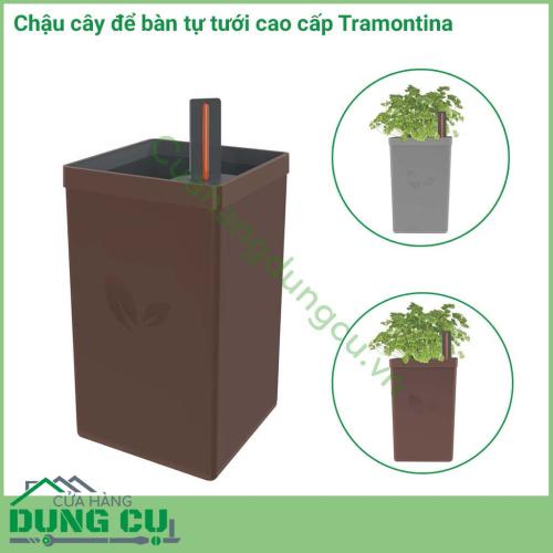 Chậu để bàn tự tưới được làm bằng chất liệu cao cấp, độ bền cao, nhỏ gọn thích hợp để bàn làm việc của bạn. Với tính năng tự tưới bạn không cần mất thời gian trong việc chăm sóc cây hãy để tramontina giúp bạn làm việc đó.