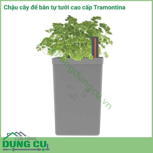 Chậu để bàn tự tưới được làm bằng chất liệu cao cấp, độ bền cao, nhỏ gọn thích hợp để bàn làm việc của bạn. Với tính năng tự tưới bạn không cần mất thời gian trong việc chăm sóc cây hãy để tramontina giúp bạn làm việc đó.