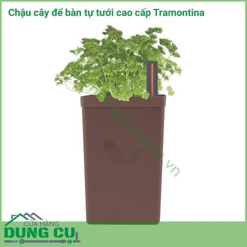 Chậu để bàn tự tưới được làm bằng chất liệu cao cấp, độ bền cao, nhỏ gọn thích hợp để bàn làm việc của bạn. Với tính năng tự tưới bạn không cần mất thời gian trong việc chăm sóc cây hãy để tramontina giúp bạn làm việc đó.