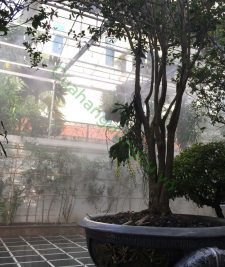 Lắp đặt hệ thống tưới phun sương tại hà nội